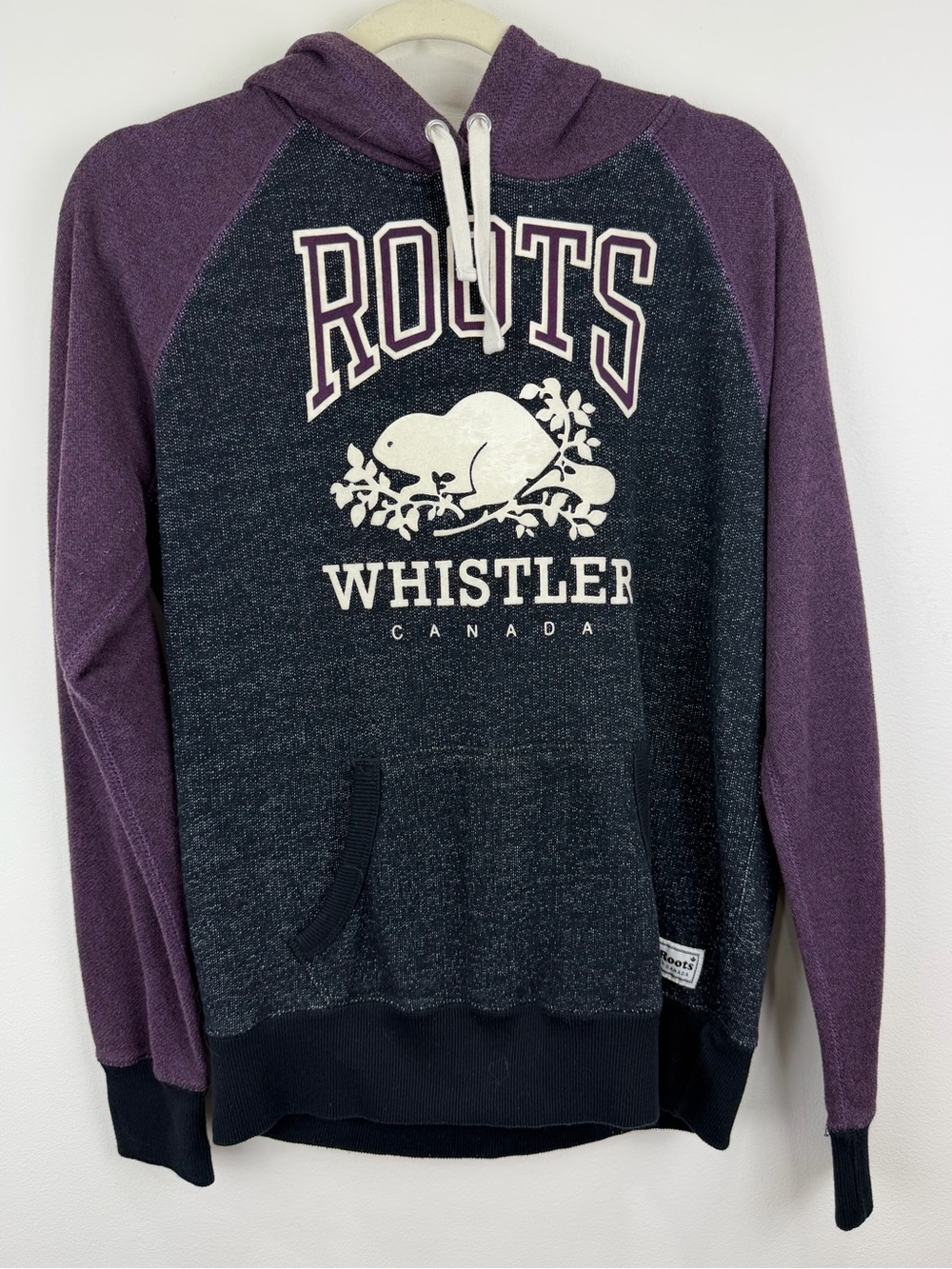 Roots Whistler Canada Beaver Logo Hoodie Men’s M Cabin Gorpcore